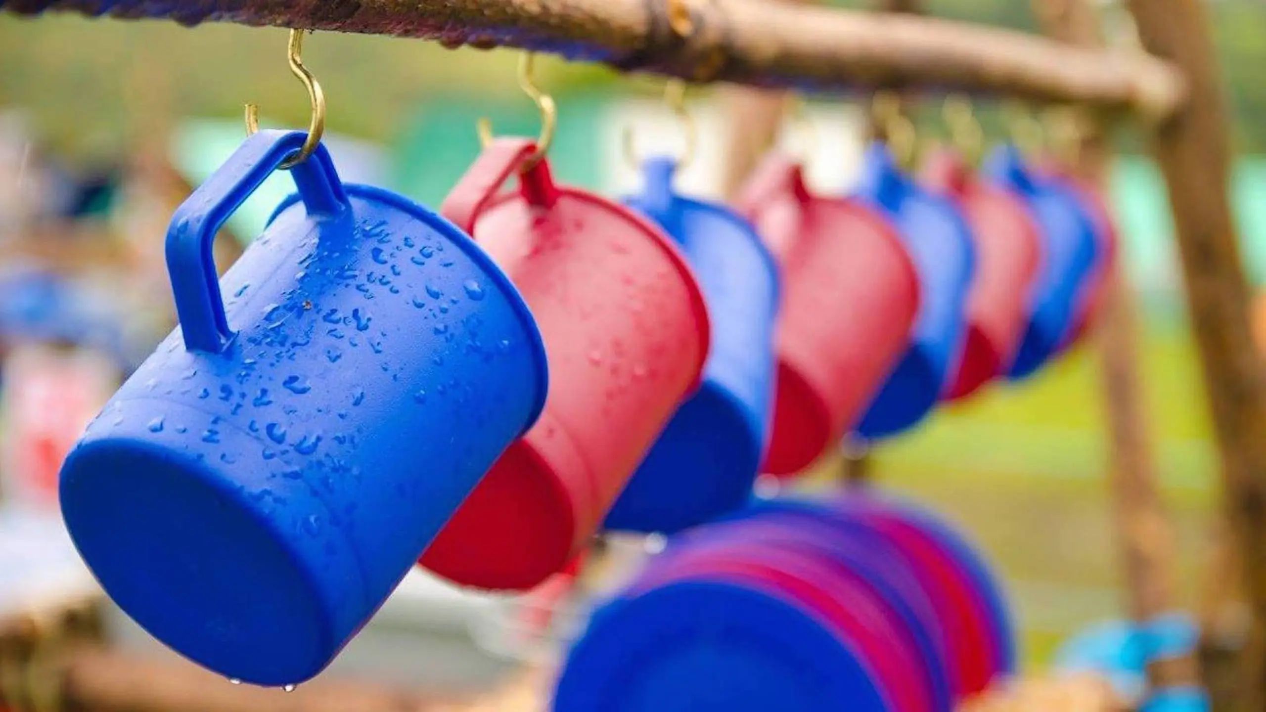 A row of hanging cups alternating in colour between red and blue, the 80th Cork group colours